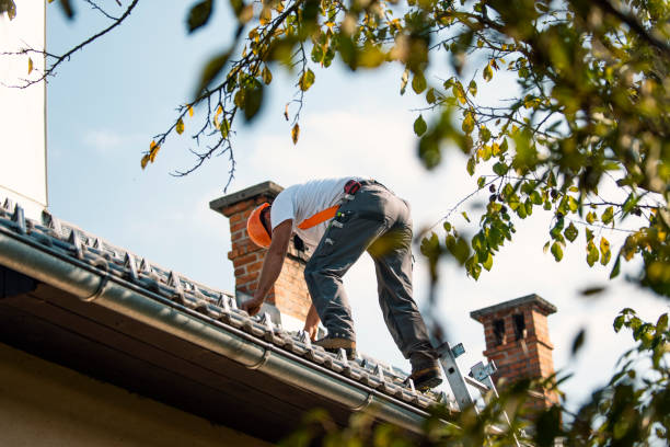 Best Roof Repair Services  in Ashley, OH
