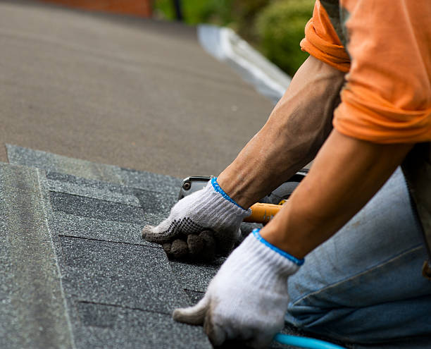 Best Gutter Installation and Roofing  in Ashley, OH